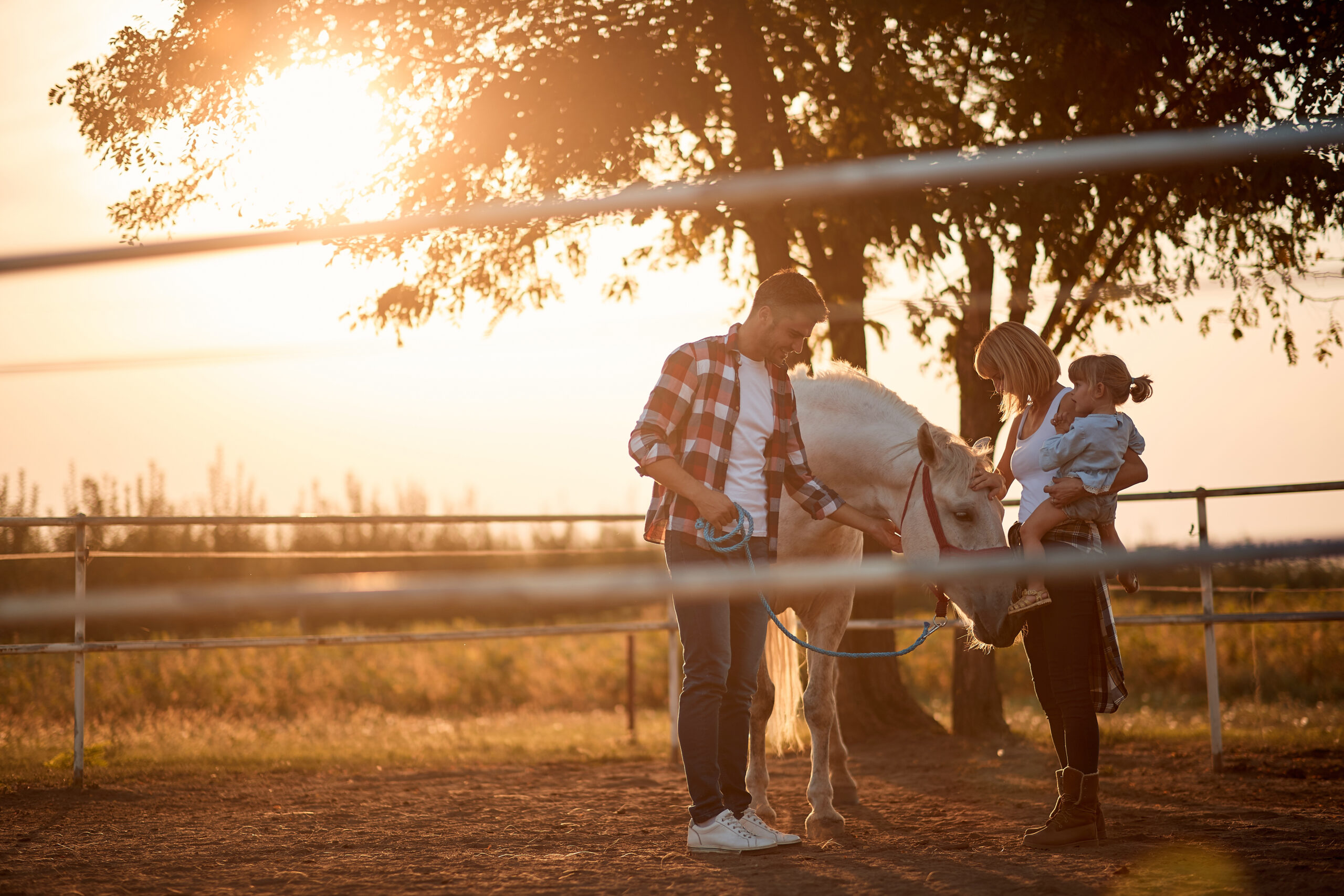 Girl and family with a horse in the farm. Petting horses in countryside.