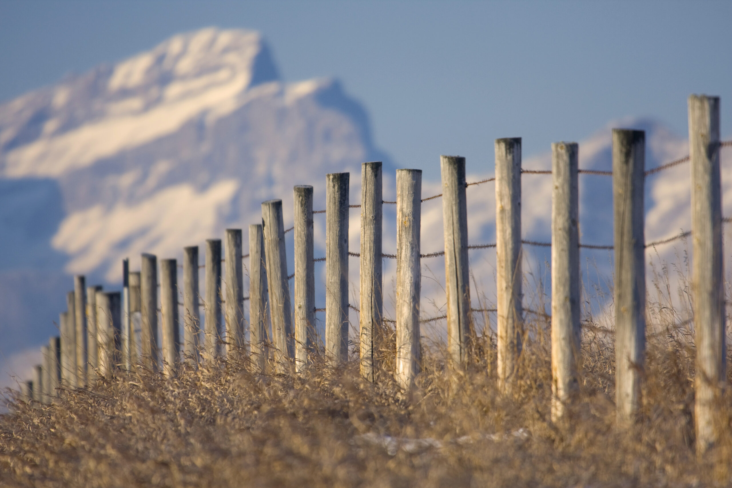 Fence to the Rockies